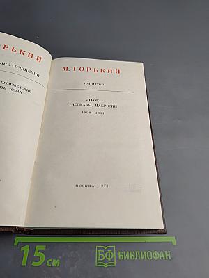 Полное собрание сочинений. Том пятый: Трое. Рассказы, наброски