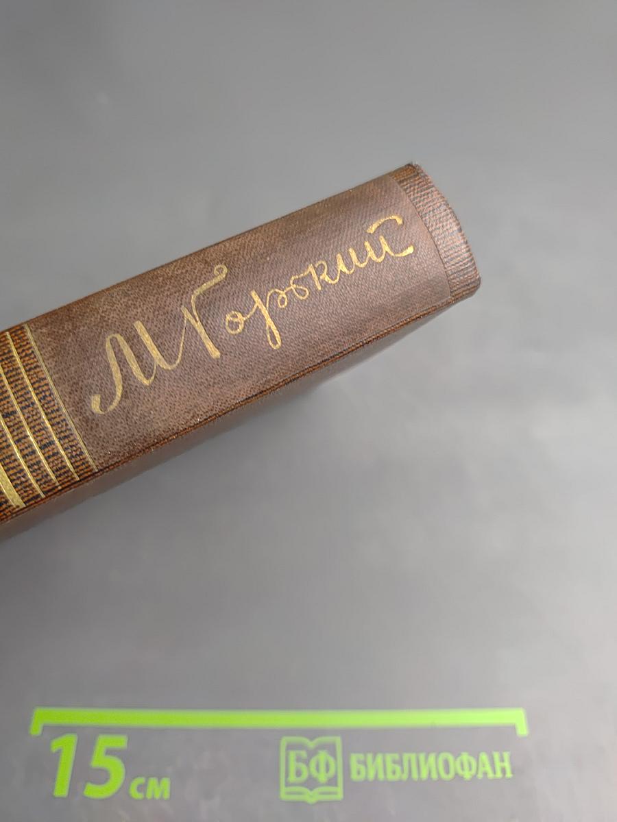 Полное собрание сочинений. Том пятый: Трое. Рассказы, наброски