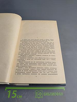 Кладовая солнца. Глаза земли. Корабельная чаща