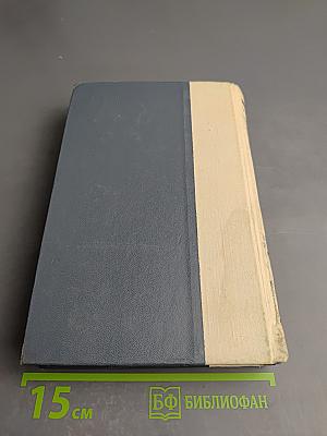 Кладовая солнца. Глаза земли. Корабельная чаща