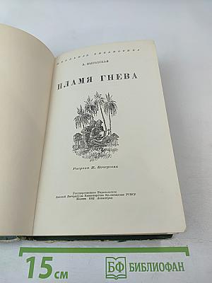 Пламя гнева