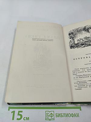 Пламя гнева