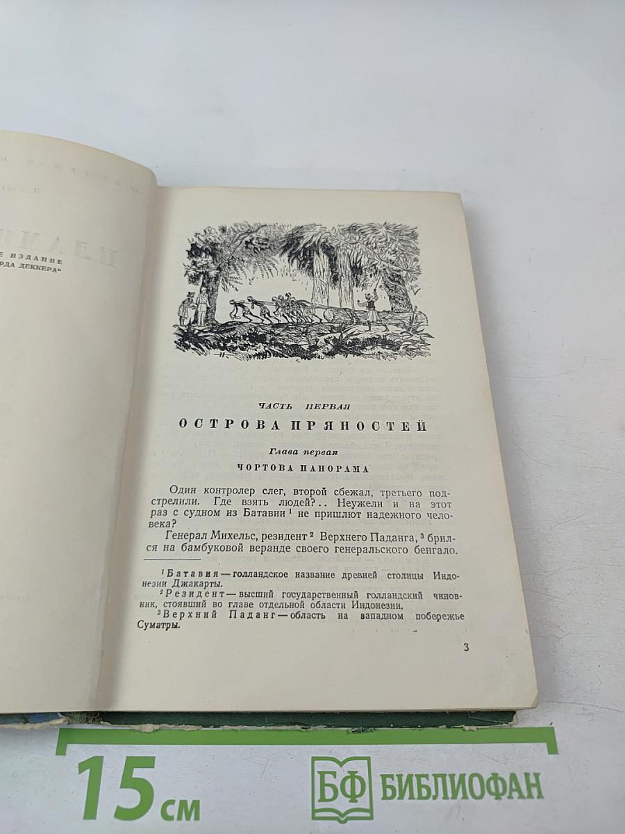 Пламя гнева