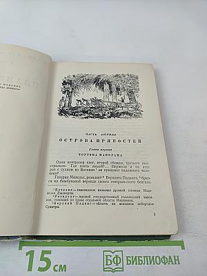 Пламя гнева