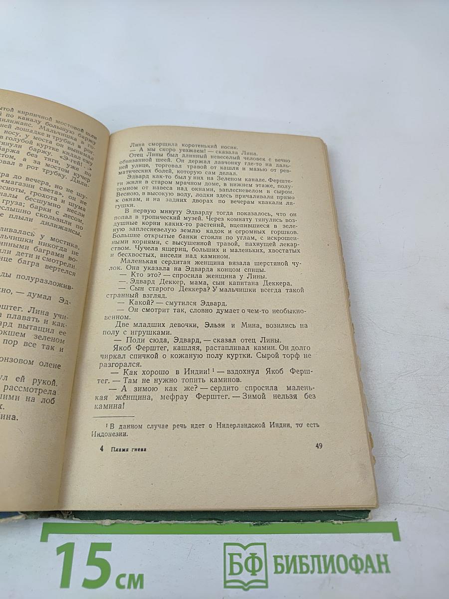 Пламя гнева