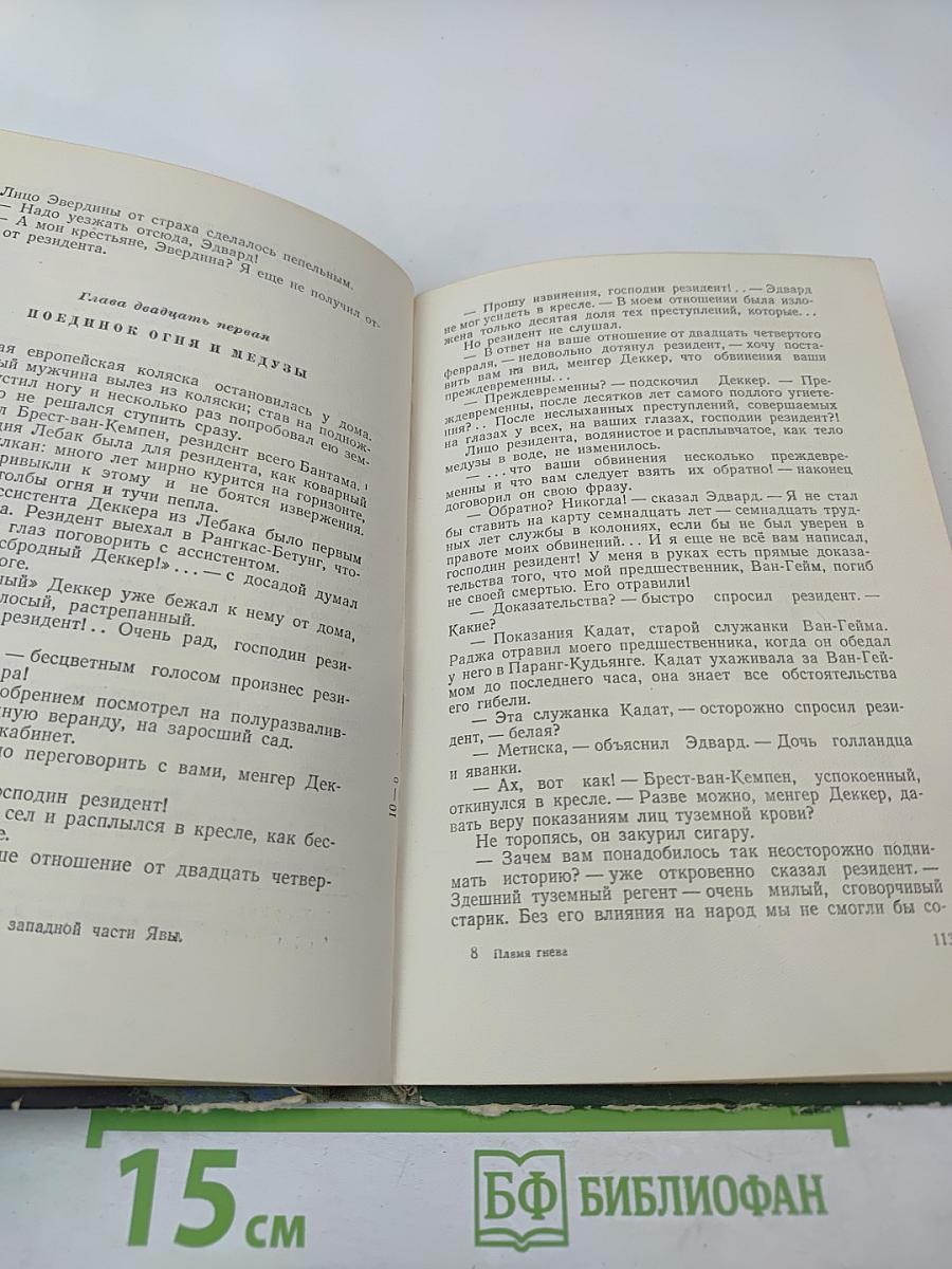 Пламя гнева