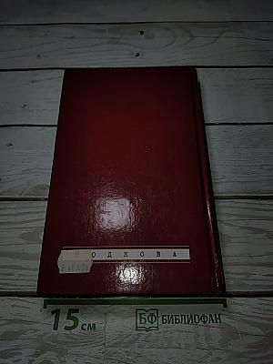 По дороге к себе