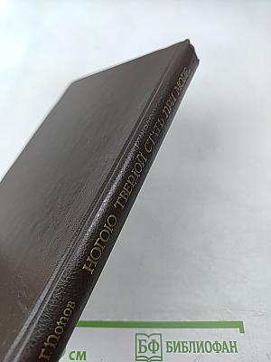 Ногою твердой стать при море...