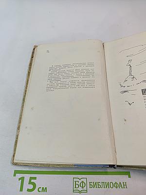 Костер над обрывом