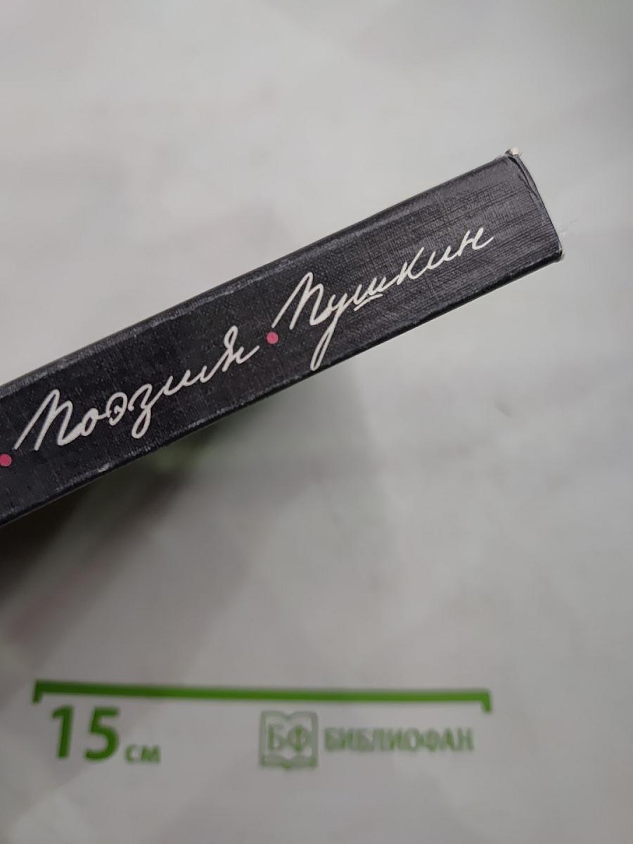 Жизнь Поэзия Пушкин