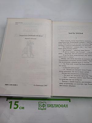 Семья Поланецких, Том 2