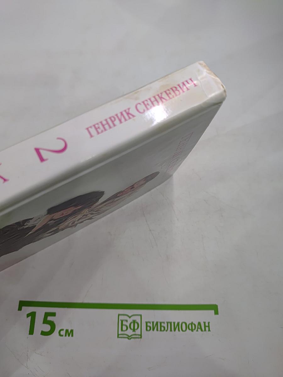 Семья Поланецких, Том 2