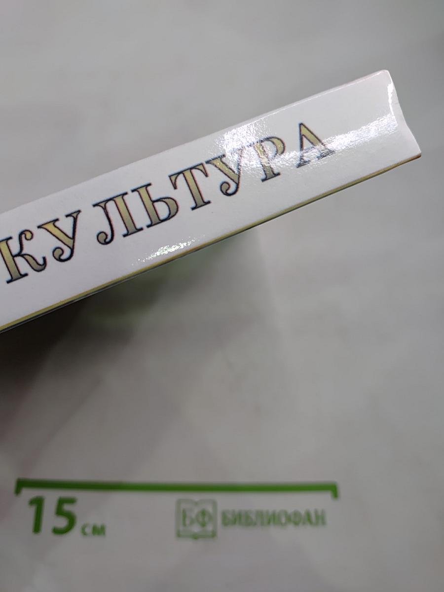 ЧЕЛОВЕК И КУЛЬТУРА. Введение в курс "Мировая художественная культура". Учебник для основной общеобразовательной школы