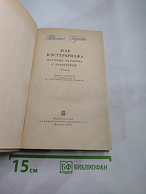 Мэр Кэстербриджа. История человека с характером