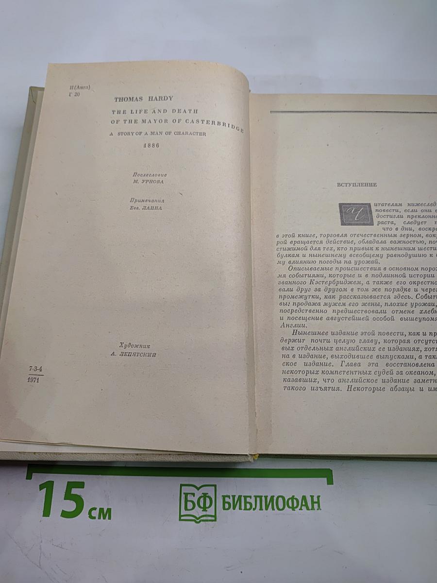 Мэр Кэстербриджа. История человека с характером