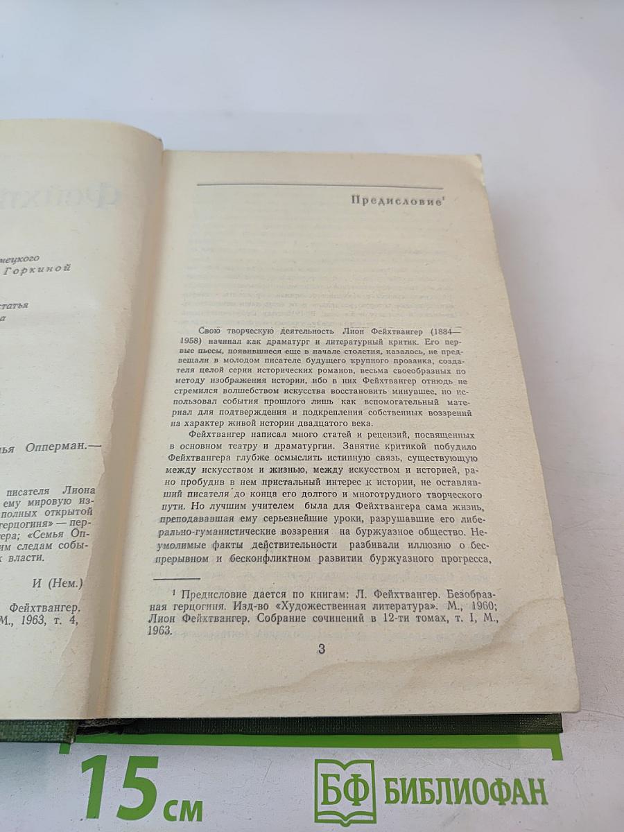 Безобразная герцогиня. Семья Опперман