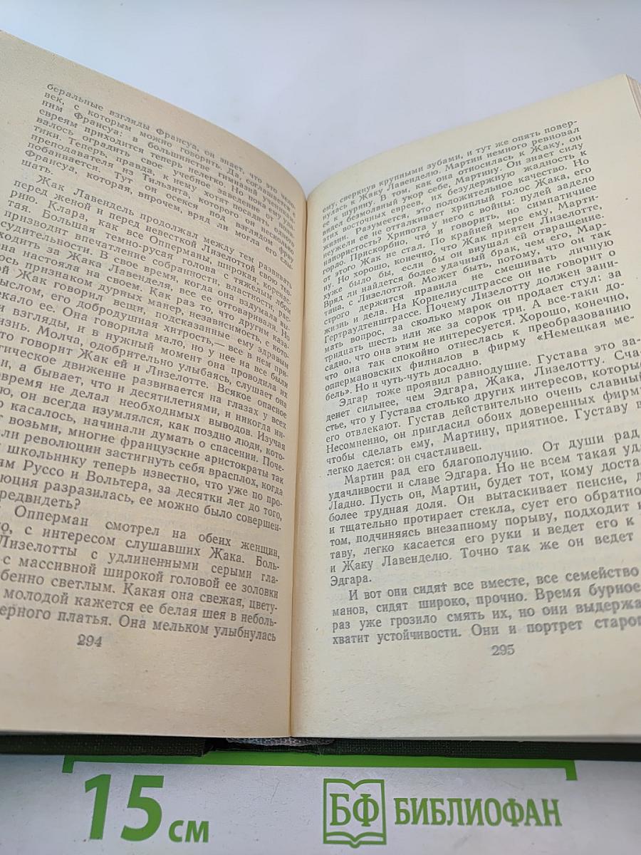 Безобразная герцогиня. Семья Опперман