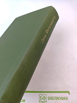 Безобразная герцогиня. Семья Опперман