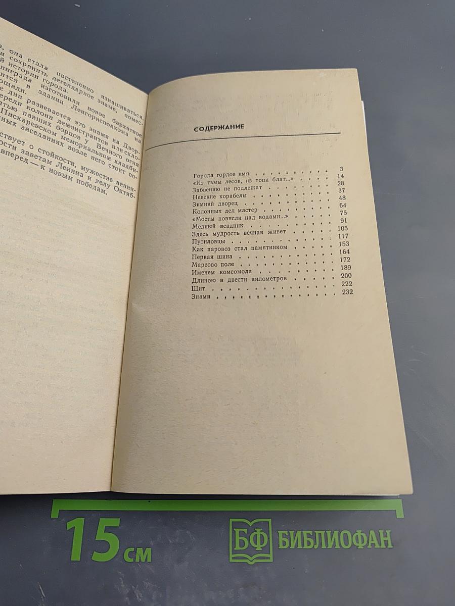 Город над Невой