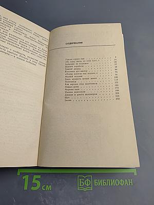 Город над Невой