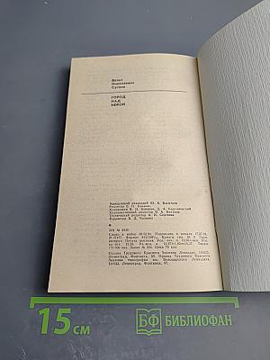 Город над Невой