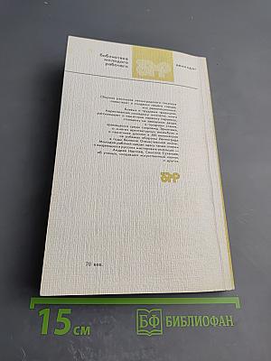 Город над Невой