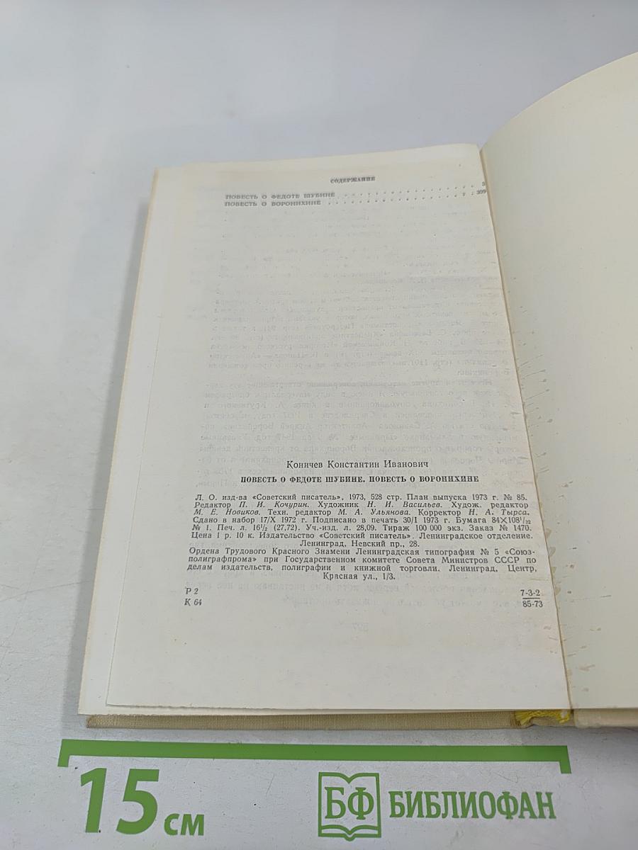 Повесть о Федоте Шубине. Повесть о Воронихине
