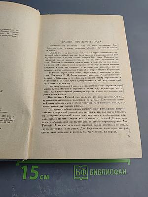 Избранные произведения. Рассказы и очерки. Мать