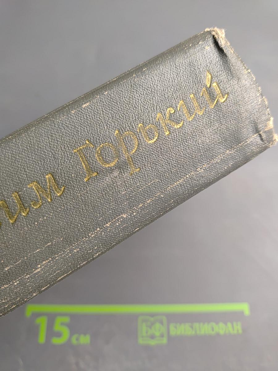 Избранные произведения. Рассказы и очерки. Мать