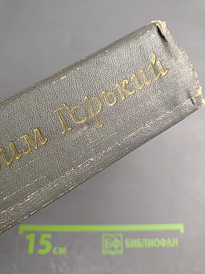 Избранные произведения. Рассказы и очерки. Мать