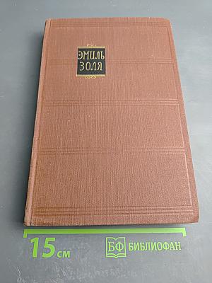 Эмиль Золя. Том 15. Разгром