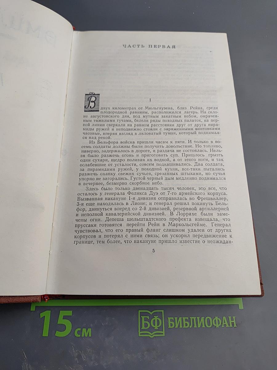 Эмиль Золя. Том 15. Разгром