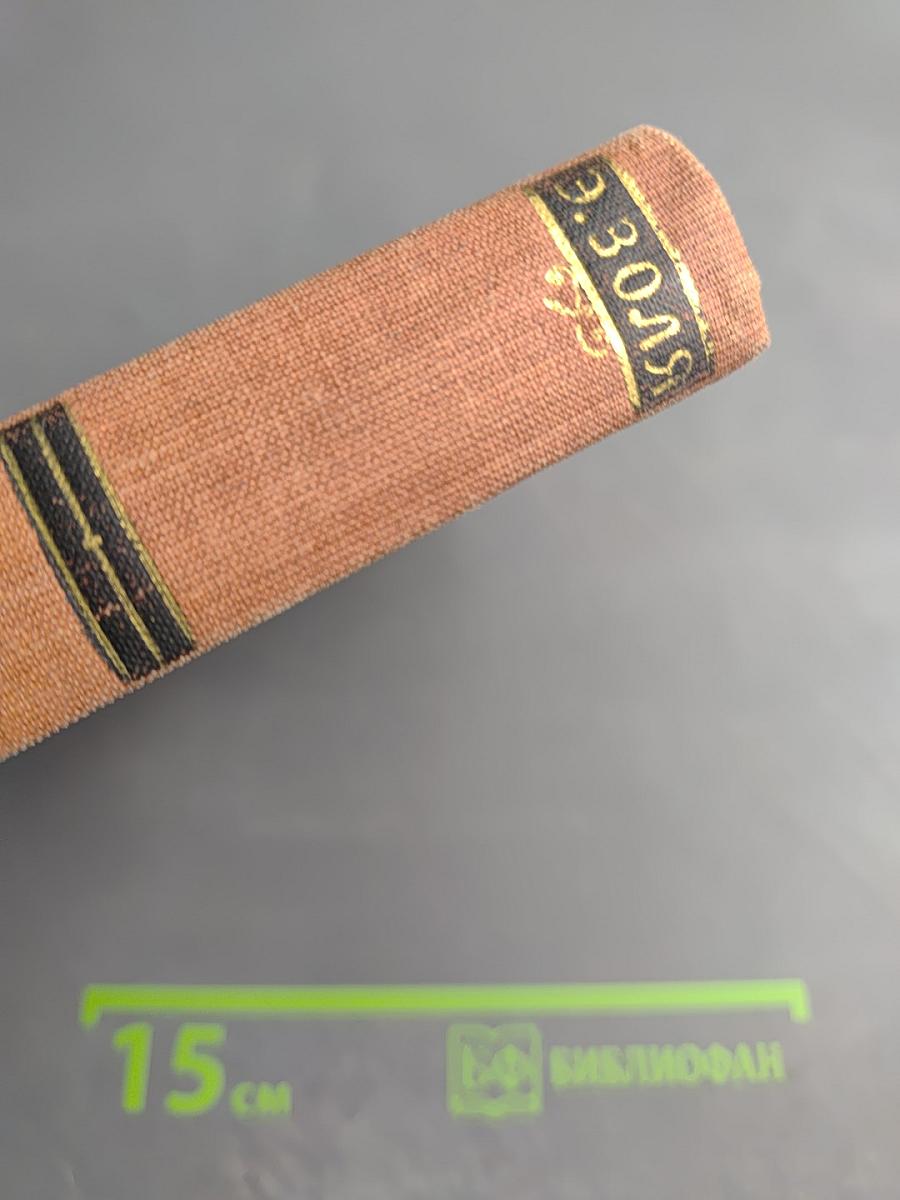 Эмиль Золя. Том 15. Разгром