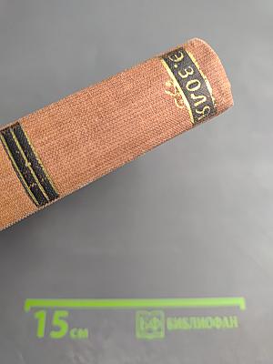 Эмиль Золя. Том 15. Разгром