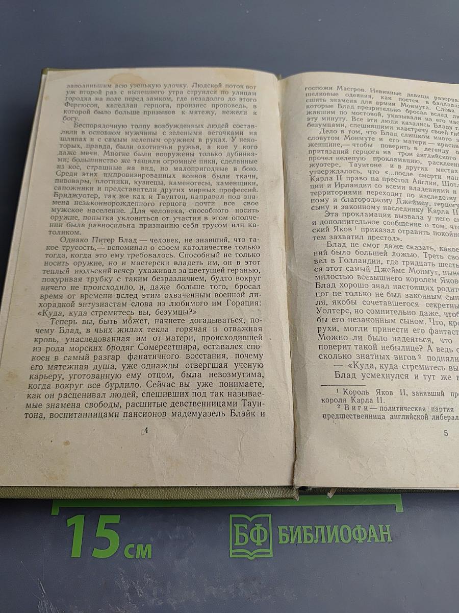 Одиссея капитана Блада