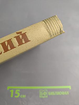 Собрание сочинений. Том 8. Произведения 1912-1917