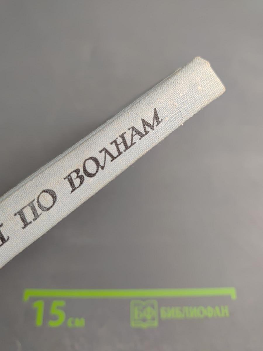 Бегущая по волнам