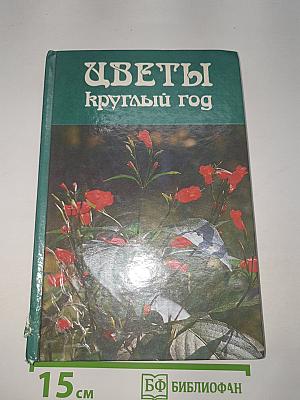 Цветы круглый год