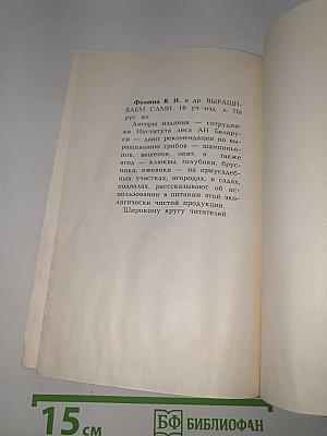 Цветы круглый год