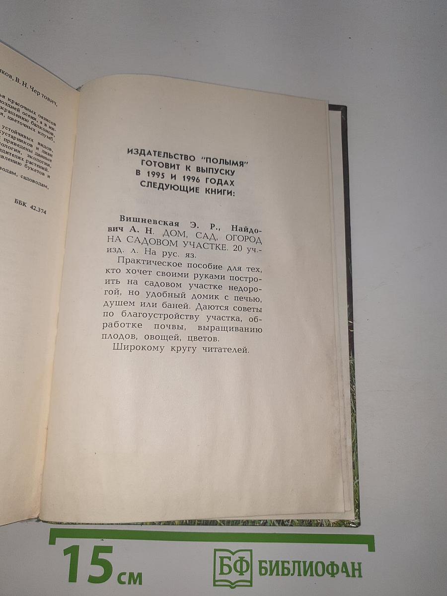 Цветы круглый год