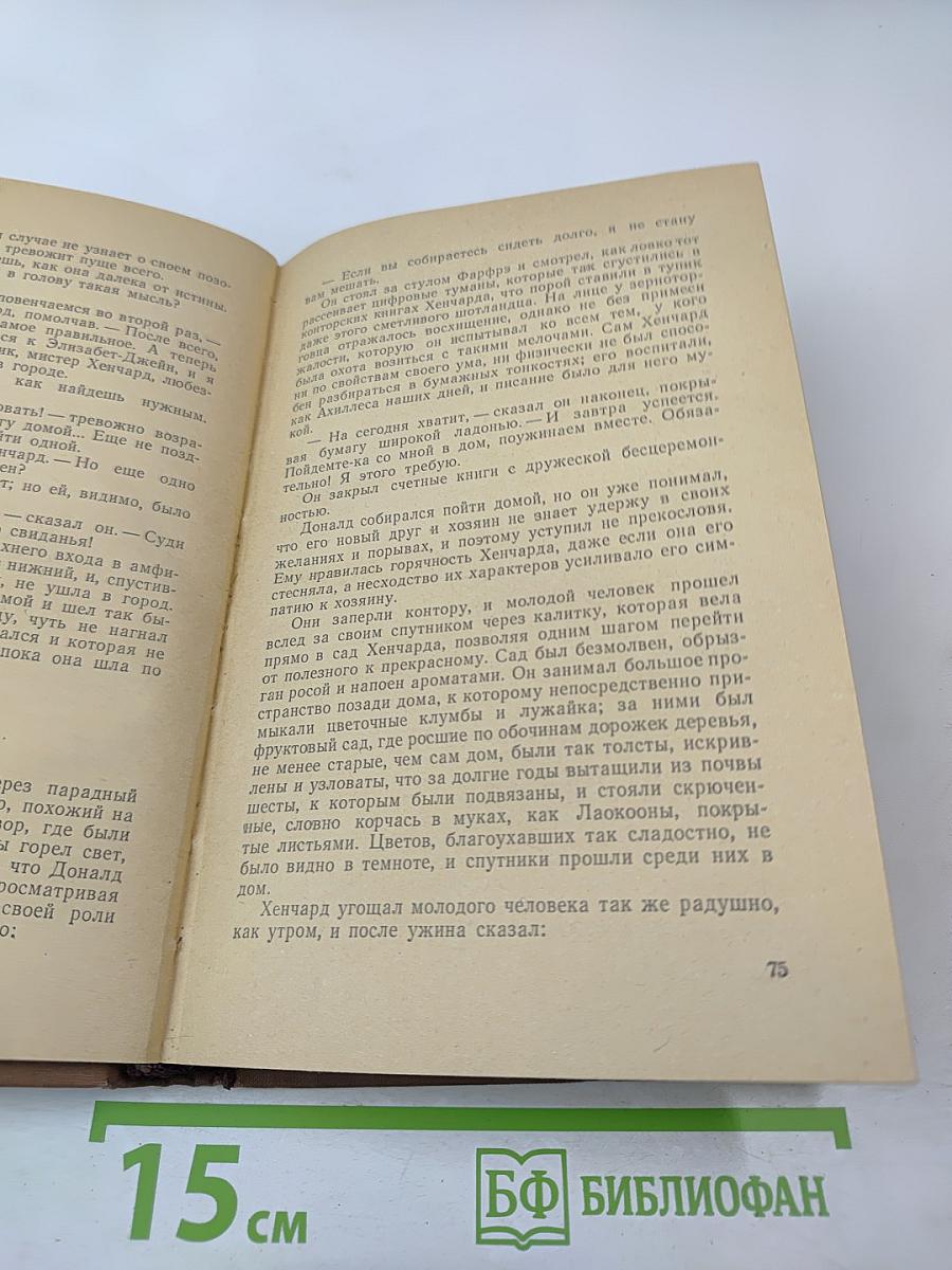 Мэр Кестербриджа