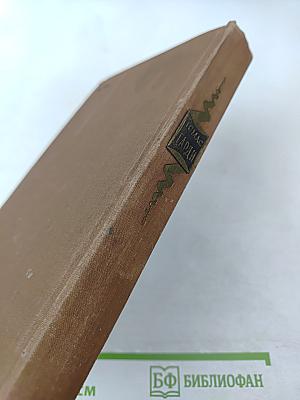 Мэр Кестербриджа