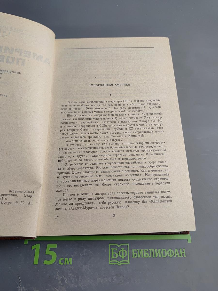 Американская повесть. Книга первая