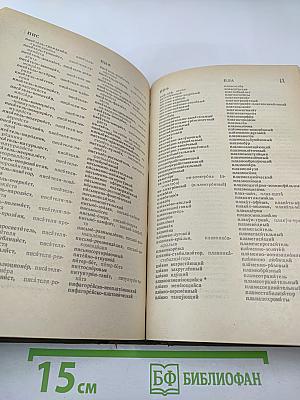 Слитно или раздельно? Опыт словаря-справочника