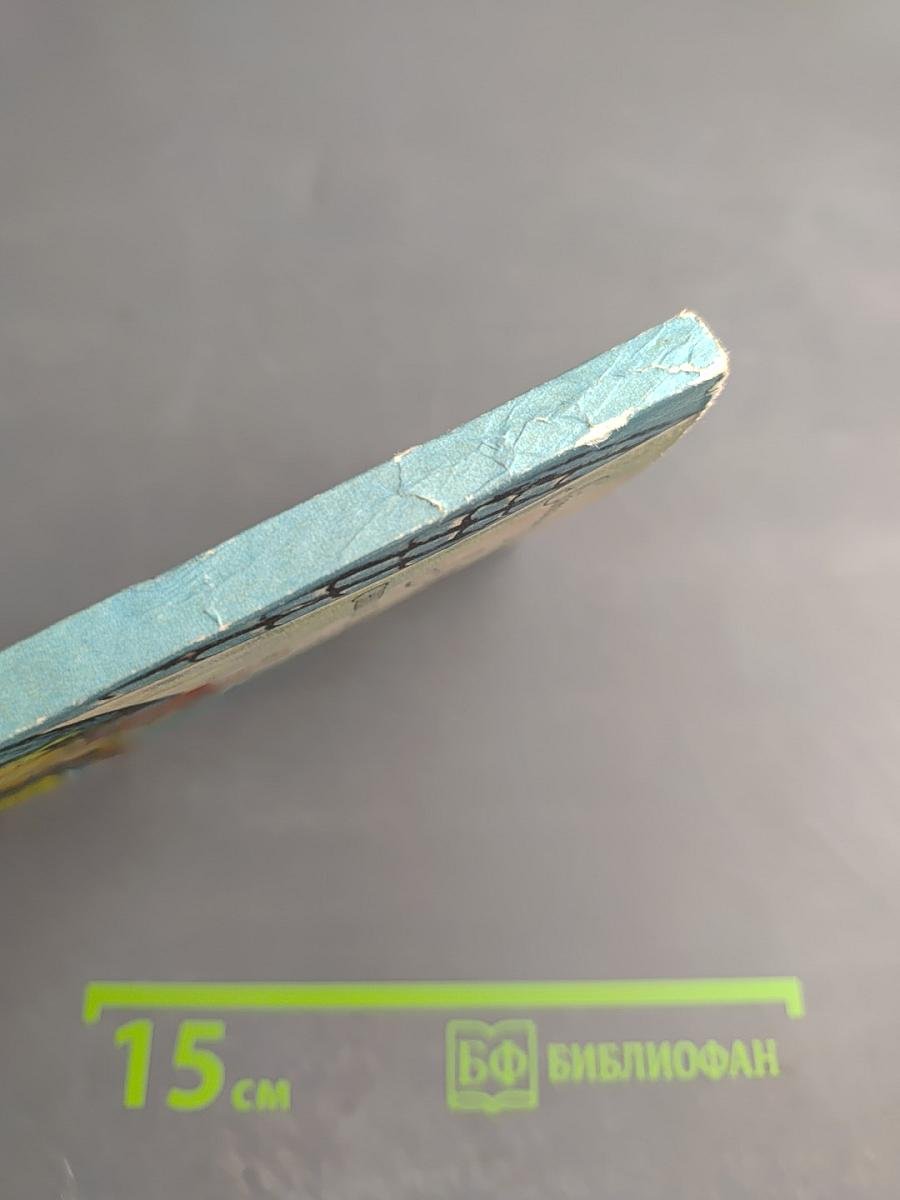 Близнецы у корсаров