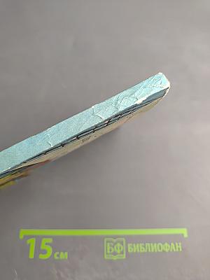 Близнецы у корсаров