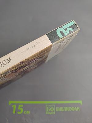 Ледяной дом