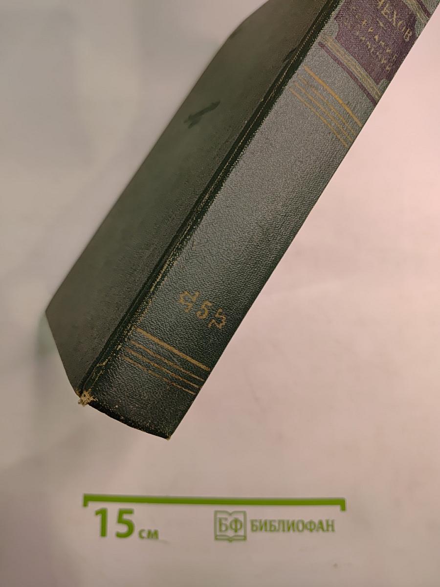 Собрание сочинений. Том пятый. Рассказы 1887