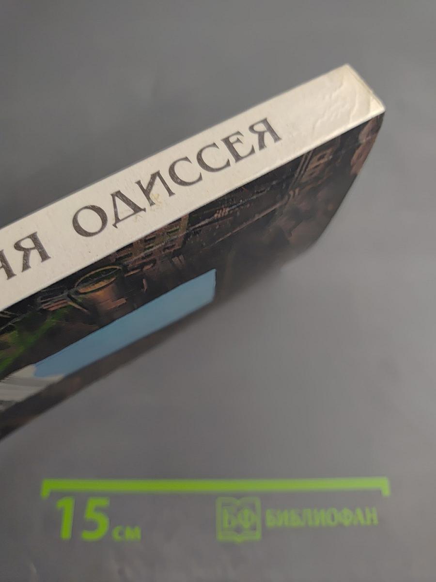 Антарктическая Одиссея. Северная партия экспедиции Р. Скотта