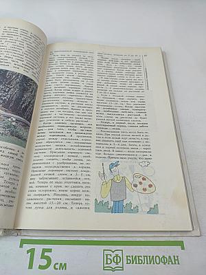 Сад Огород Усадьба. Энциклопедия для начинающих